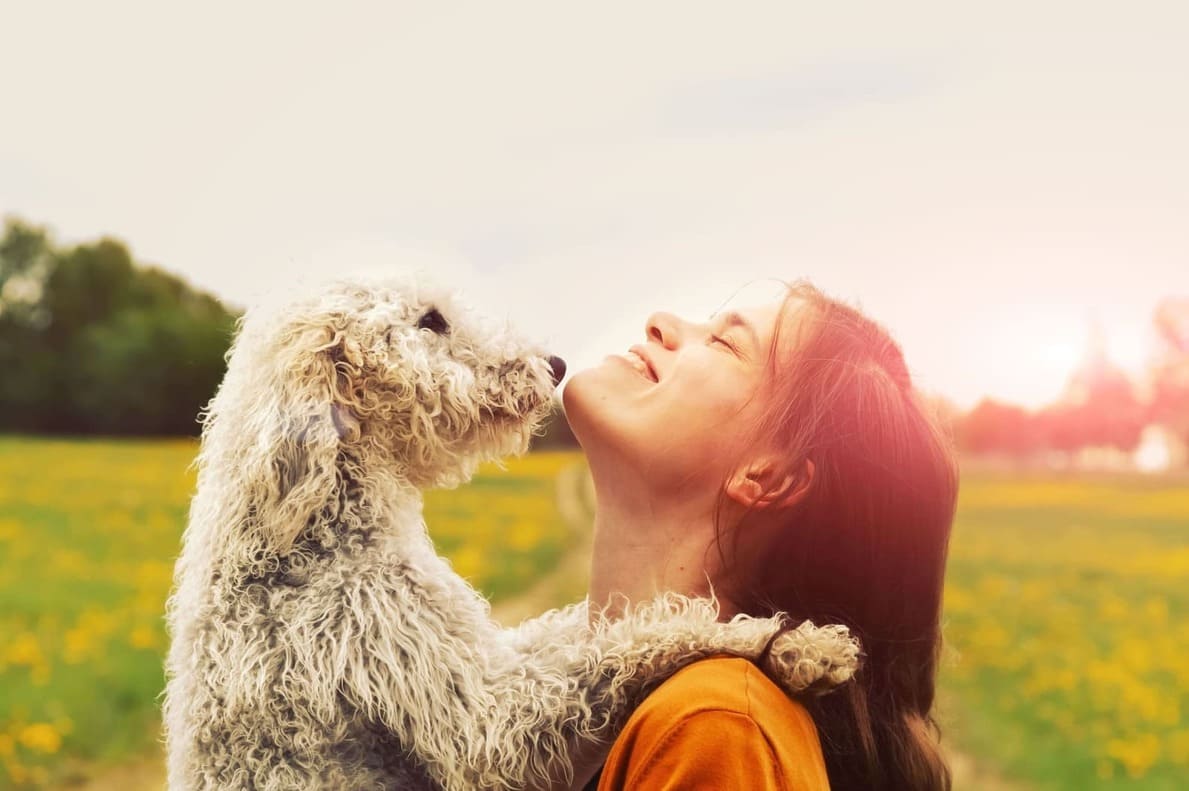communication-animale2 Une femme et son chien